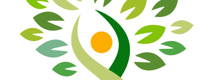 Yoga Qigong Natur erleben